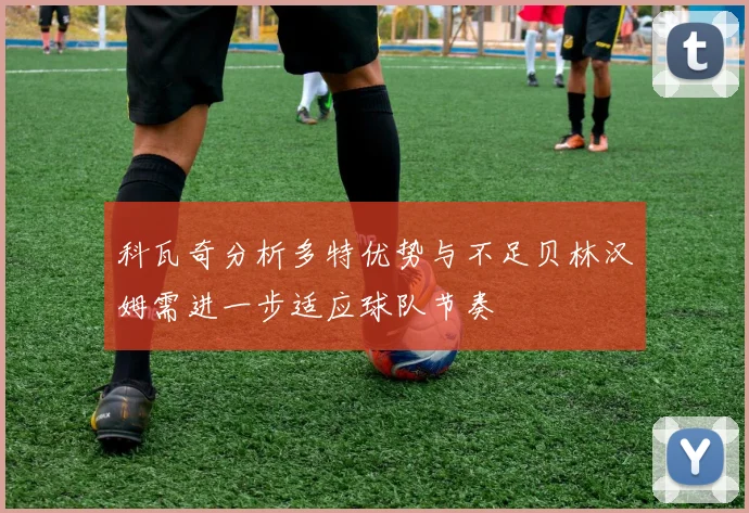 科瓦奇分析多特优势与不足贝林汉姆需进一步适应球队节奏