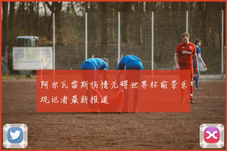 阿尔瓦雷斯伤情无碍世界杯前景乐观记者最新报道